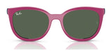 Ray-Ban RY1631C Clip-On Sunglasses