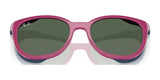 Ray-Ban RY1631C Clip-On Sunglasses
