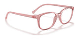 Ray-Ban RY1900 Eyeglasses