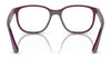 Ray-Ban RY9078VF Eyeglasses | Size 48 / Black On Red №3928