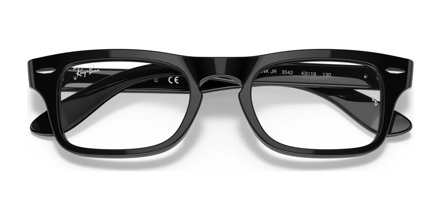 Ray-Ban JUNIOR BURBANK RY9083V Eyeglasses