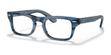 Ray-Ban JUNIOR BURBANK RY9083V Eyeglasses