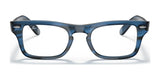 Ray-Ban JUNIOR BURBANK RY9083V Eyeglasses