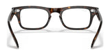 Ray-Ban JUNIOR BURBANK RY9083V Eyeglasses