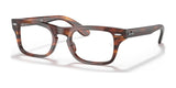 Ray-Ban JUNIOR BURBANK RY9083V Eyeglasses