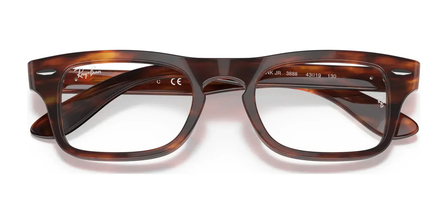 Ray-Ban JUNIOR BURBANK RY9083V Eyeglasses