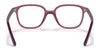 Ray-Ban JUNIOR LEONARD RY9093V Eyeglasses / Transparent №3541 / Size 45