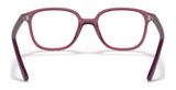 Ray-Ban JUNIOR LEONARD RY9093V Eyeglasses