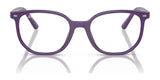 Ray-Ban JUNIOR ELLIOT RY9097V Eyeglasses