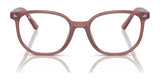 Ray-Ban JUNIOR ELLIOT RY9097V Eyeglasses