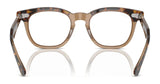 Ray-Ban RY9098V Eyeglasses