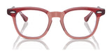 Ray-Ban RY9098V Eyeglasses