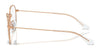 Ray-Ban RY9594V Eyeglasses / Arista Gold №4091 / Size 45