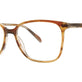 Grey/Brown Tortoise