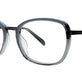 Grey Sky Tortoise