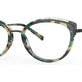 Black Green Tortoise