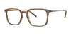 Red Rose MELFI Eyeglasses | Size 50 / Tortoise