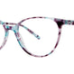 Aqua Plum Tortoise