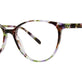 Havana Iris Tortoise