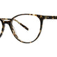 Light Tokyo Tortoise