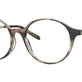 Olive Tortoise