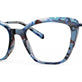 Blue Bell Tortoise