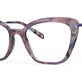 Plum Tortoise