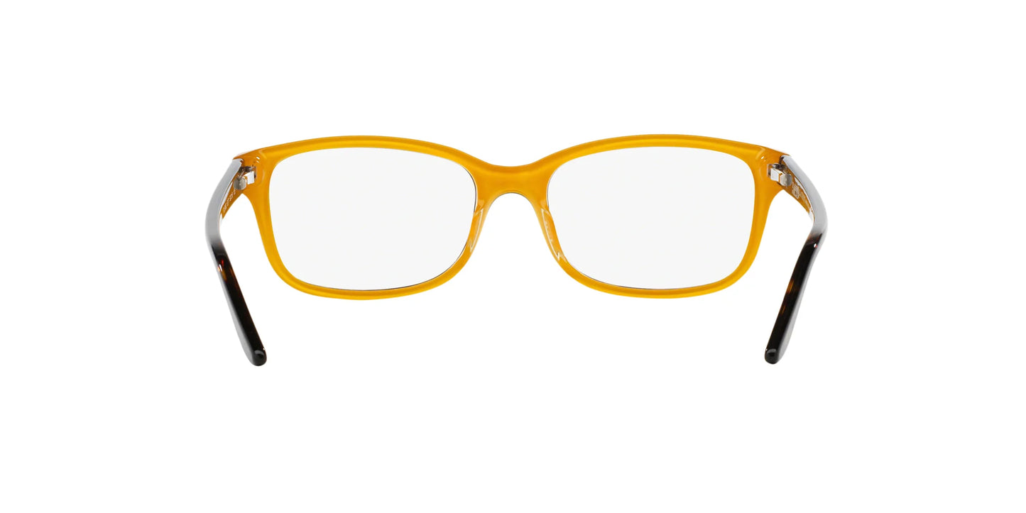 Ralph Lauren RL6062 Eyeglasses | Size 52
