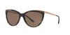 Ralph Lauren RL8160 Sunglasses | Size 56 / Brown Horn / Brown (3N 14.5%)