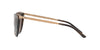 Ralph Lauren RL8160 Sunglasses | Size 56 / Brown Horn / Brown (3N 14.5%)