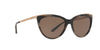 Ralph Lauren RL8160 Sunglasses | Size 56 / Brown Horn / Brown (3N 14.5%)