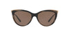 Ralph Lauren RL8160 Sunglasses | Size 56 / Brown Horn / Brown (3N 14.5%)