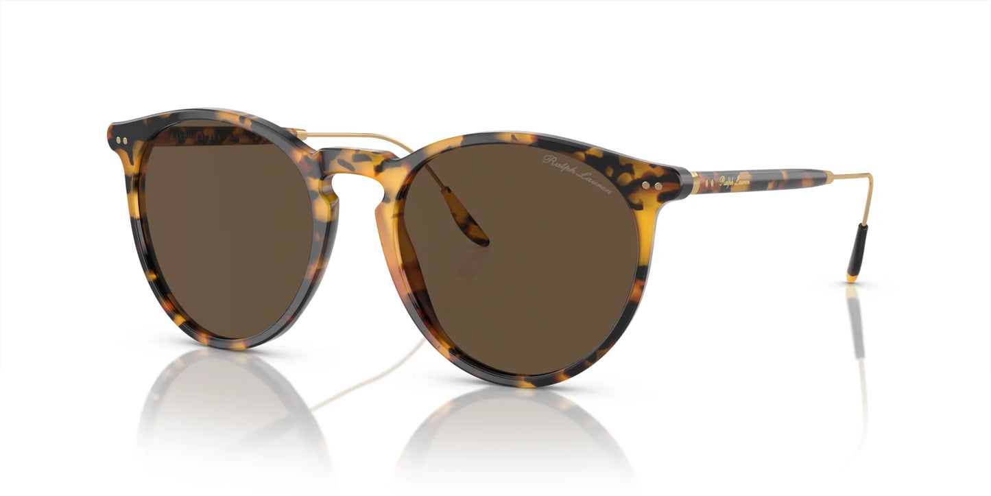 Ralph Lauren RL8181P Sunglasses Havana / Brown