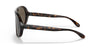 Ralph Lauren RL8194 Sunglasses | Size 60 / Shiny Dark Havana / Brown (3N 14.5%)