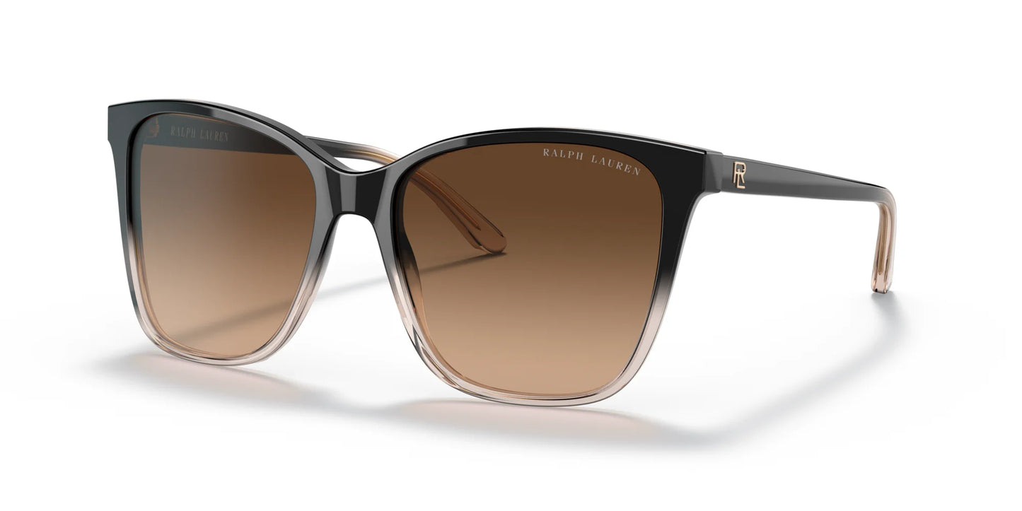 Ralph Lauren RL8201 Sunglasses Shiny Gradient Black / Transparent Beige / Light Gradient Brown