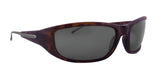 Scheyden Jet-A Sunglasses 329 / Tortoise