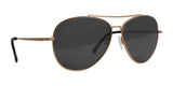 Scheyden Liberator Sunglasses 289 / Gold Titanium