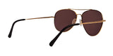 Scheyden Liberator Sunglasses 289 / Gold Titanium