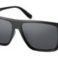 Gray (Polarized/Mineral Glass)