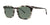 SCOJO ALLEN Sunglasses | Size 53 / Mineral Tortoise