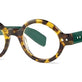 Tortoise/Evergreen