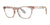 SCOJO BLOOM Eyeglasses | Size 52 / Polished Shell