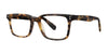SCOJO CARLYLE Eyeglasses | Size 50 / Tortoise / +1.5