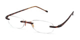 SCOJO COBALT P1 Eyeglasses Tortoise