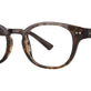 Havana Tortoise Fade