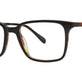 Black/Tortoise