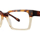 Pecan Tortoise Gradient