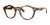 SCOJO RUTHERFORD PL. Eyeglasses | Size 51 / Tortoise
