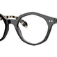 Black/Tortoise