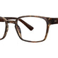 Brown Grey Tortoise